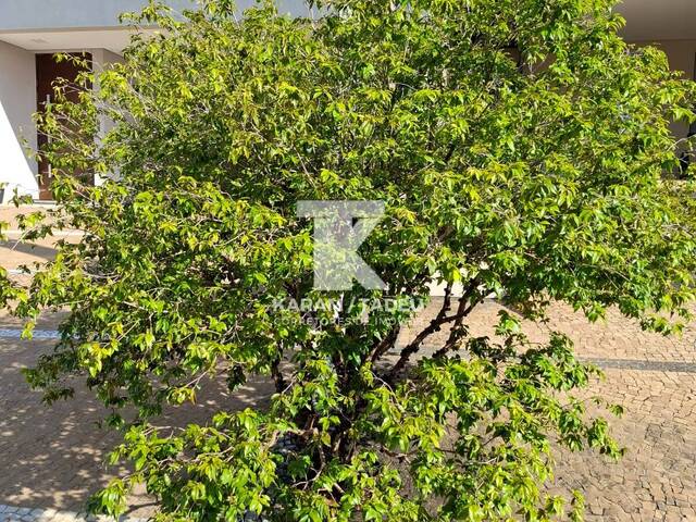 #1440 - Casa para Venda em Itatiba - SP - 2